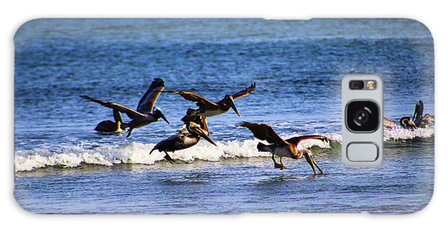 Pelicans Galaxy Case featuring the photograph Pelican Party by Marcus Jones