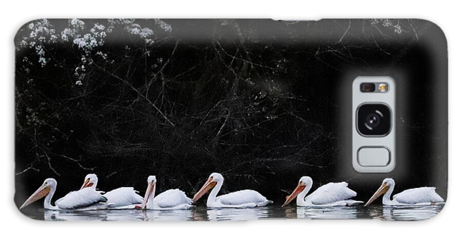 Pelicans Galaxy Case featuring the photograph Pelican Serenity by Tahmina Watson