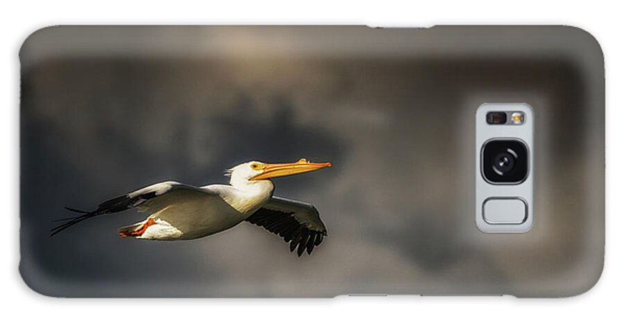 Animal Galaxy Case featuring the photograph Pelican Sunset Flight by Framing Places