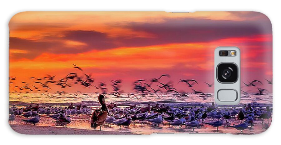 Beach Galaxy Case featuring the photograph Pelican Watch at Clam Pass Beach by Dee Potter