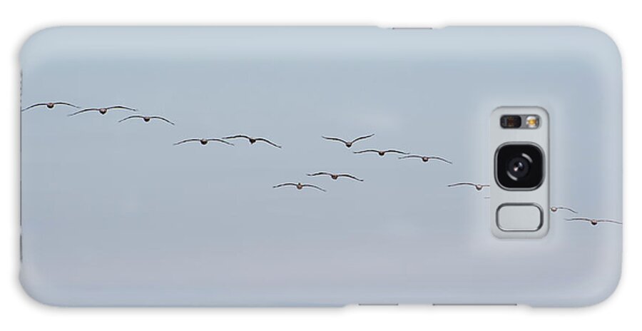 Pelicans Galaxy Case featuring the photograph Pelicans in formation by Windy Osborn