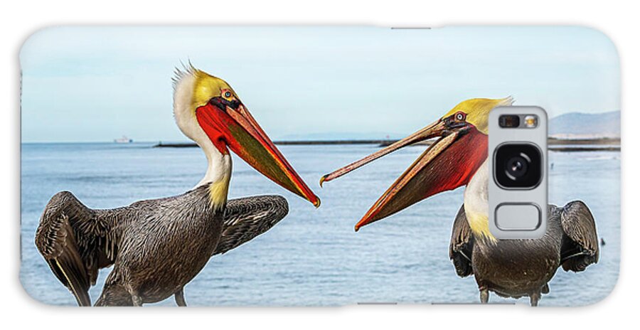 Pelicans Galaxy Case featuring the photograph Pelicans on the Oceanside Pier by Rich Cruse