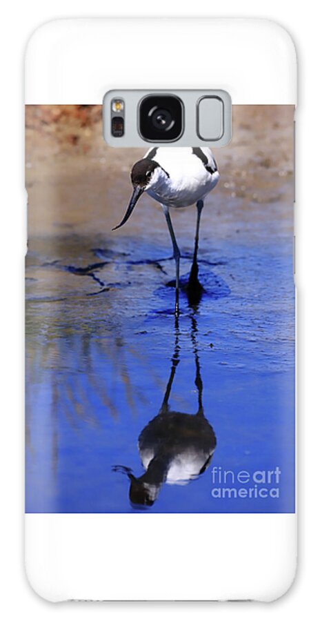 Avocet Galaxy Case featuring the photograph Pied avocet, Recurvirostra avosetta by Frederic Bourrigaud