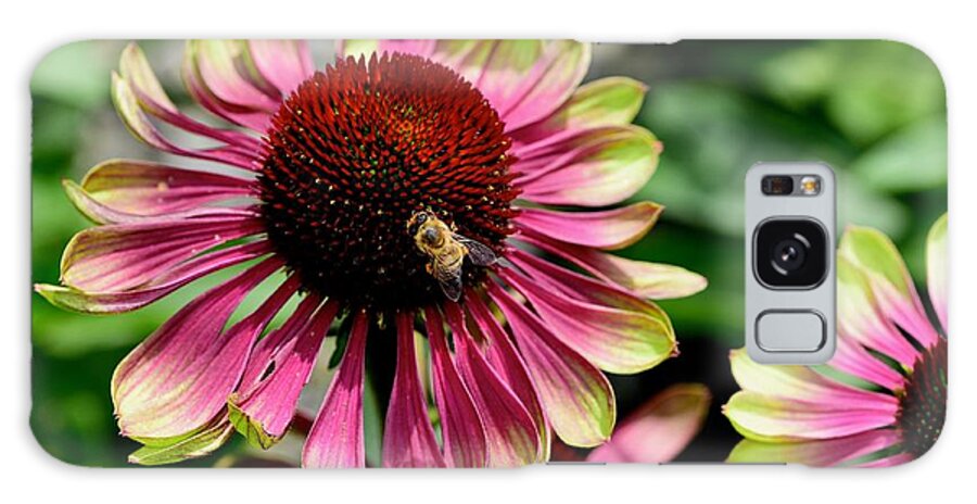 Pollinator Galaxy Case featuring the photograph Pink and green perfection by Lynn Hunt