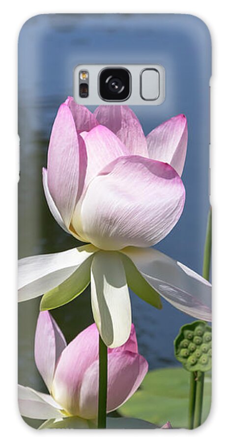 Flower Galaxy Case featuring the photograph Sacred Lotus by Dawn Cavalieri