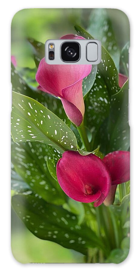 Pink Flowers Galaxy Case featuring the photograph Pink Calla Lilies by Jerry Abbott