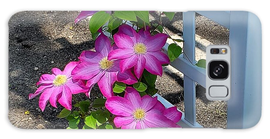 Clematis Flower Galaxy Case featuring the photograph Pink Champagne Clematis by Stacie Siemsen