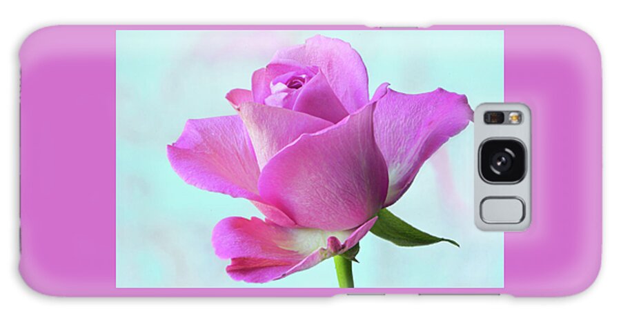 Pink Rose Galaxy Case featuring the photograph Pink Delight by Terence Davis