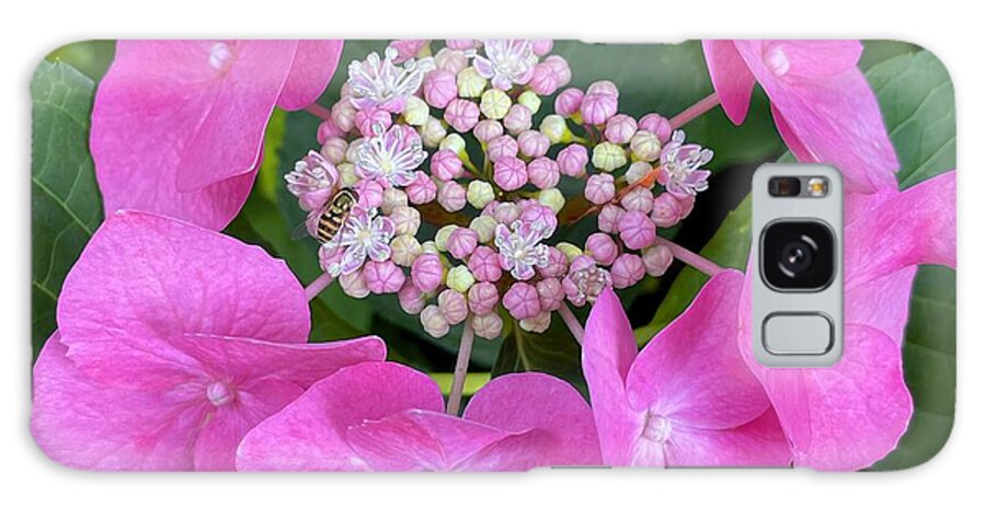 Hydrangea Galaxy Case featuring the photograph Pink Lace Cap Hydrangea And Company by Alida M Haslett