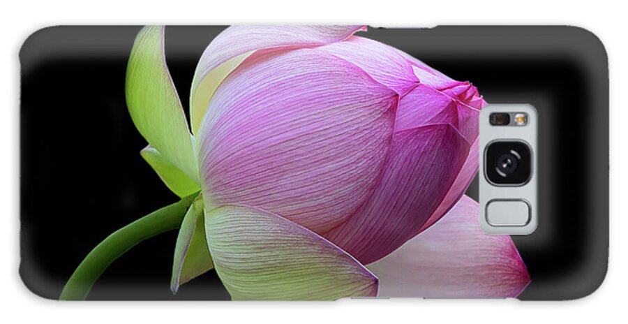 Pink Galaxy Case featuring the photograph Pink Lotus Bud by Gary Geddes