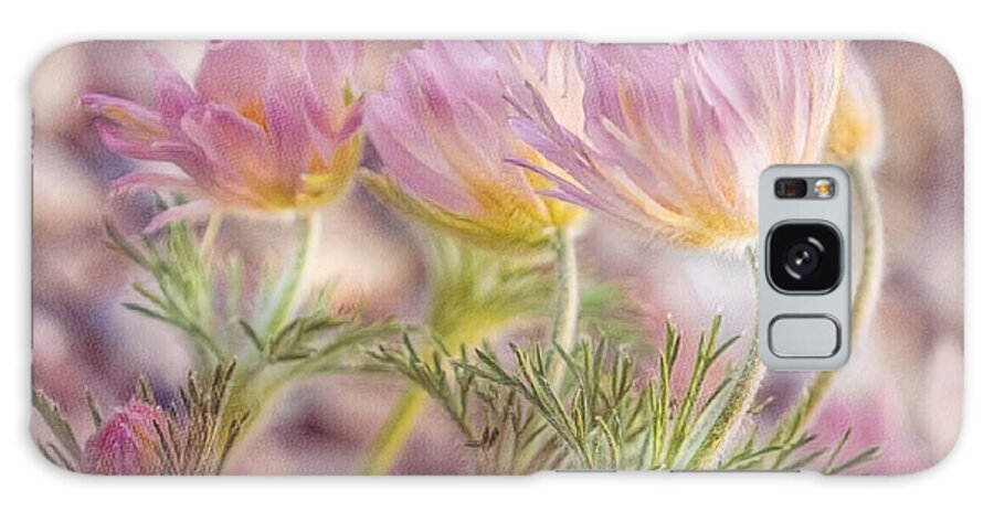 Spring Galaxy Case featuring the photograph Pink Pasque Flowers by Susan Rydberg