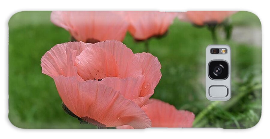 Poppy Galaxy Case featuring the photograph Pink poppy parade by Lisa Mutch