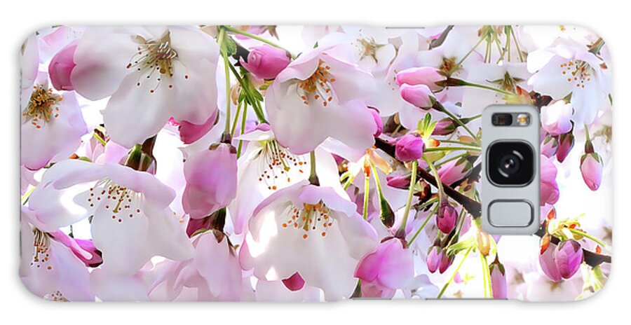 Cherry Blossoms Galaxy Case featuring the photograph Pink by Scott Cameron