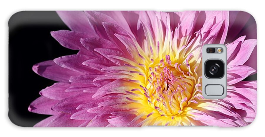 Water Lily Galaxy S8 Case featuring the photograph Pink Splendor by Mingming Jiang
