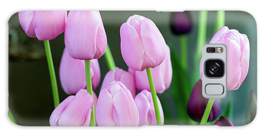 Pink Tulips Galaxy Case featuring the photograph Pink Tulips, 1 by Glenn Franco Simmons