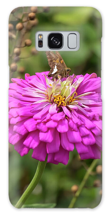 Flower Galaxy Case featuring the photograph Silver-Spotted Skipper on Zinnia by Dawn Cavalieri