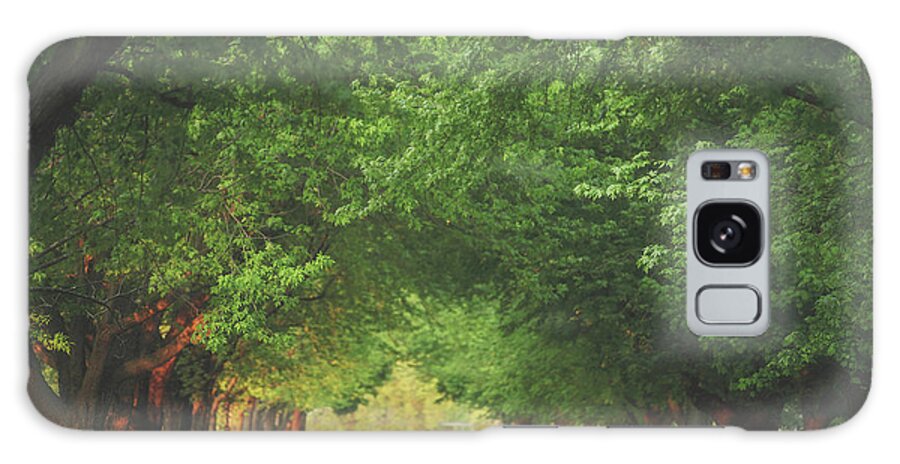 Summer Galaxy Case featuring the photograph Plantation Path by Carrie Ann Grippo-Pike
