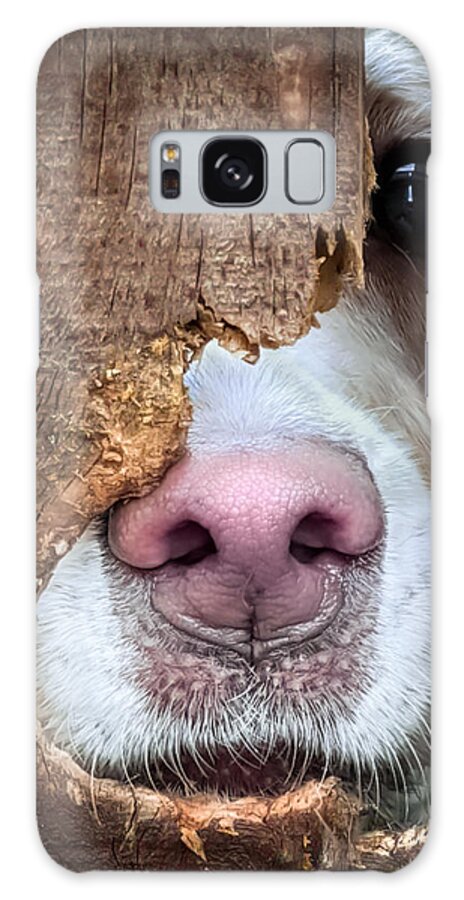 Puppies Galaxy Case featuring the photograph Please Don't Leave Me by Karen Wiles