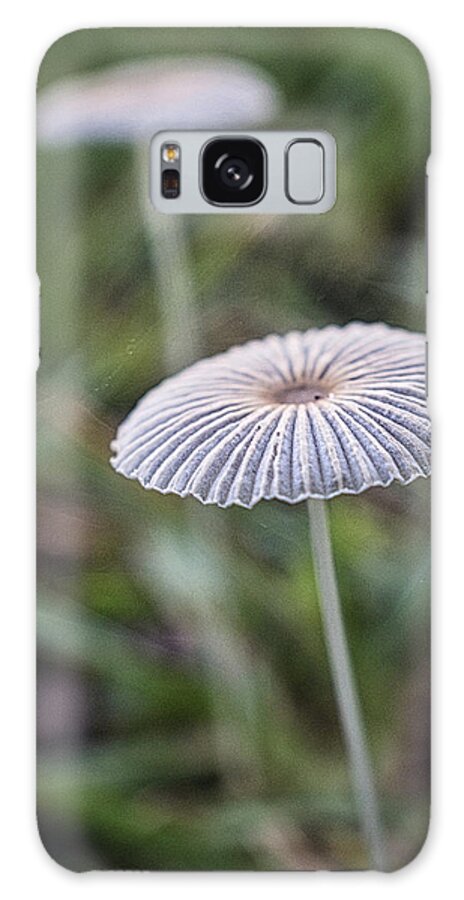 Fungus Galaxy Case featuring the photograph Pleated Inkcap Mushroom by Portia Olaughlin