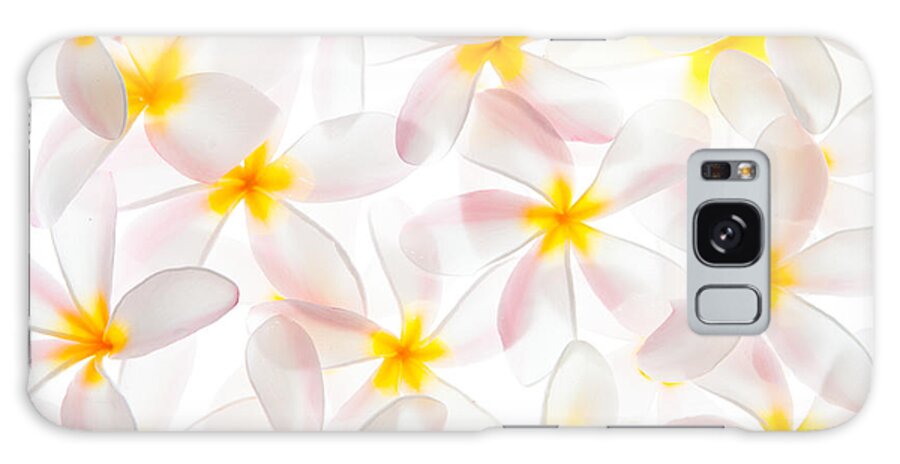 Photograph Galaxy Case featuring the photograph Plumerias in Bloom 5 by John A Rodriguez