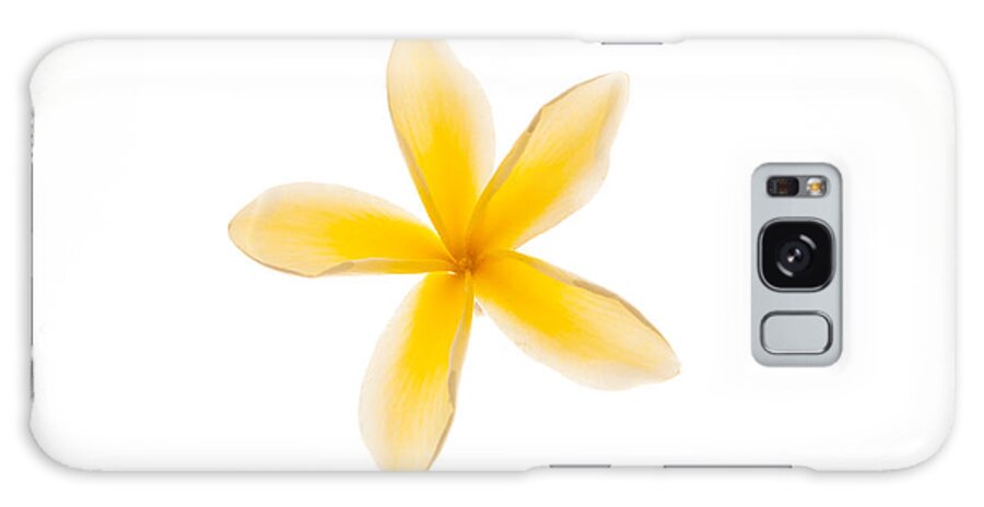 Photograph Galaxy Case featuring the photograph Plumerias in Bloom 9 by John A Rodriguez