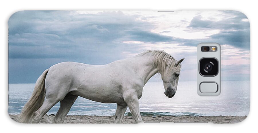 Photographs Galaxy Case featuring the photograph Poise - Horse Art by Lisa Saint