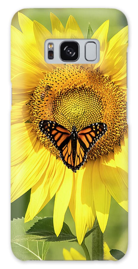 Butterfly Galaxy Case featuring the photograph Pollination by Ray Silva