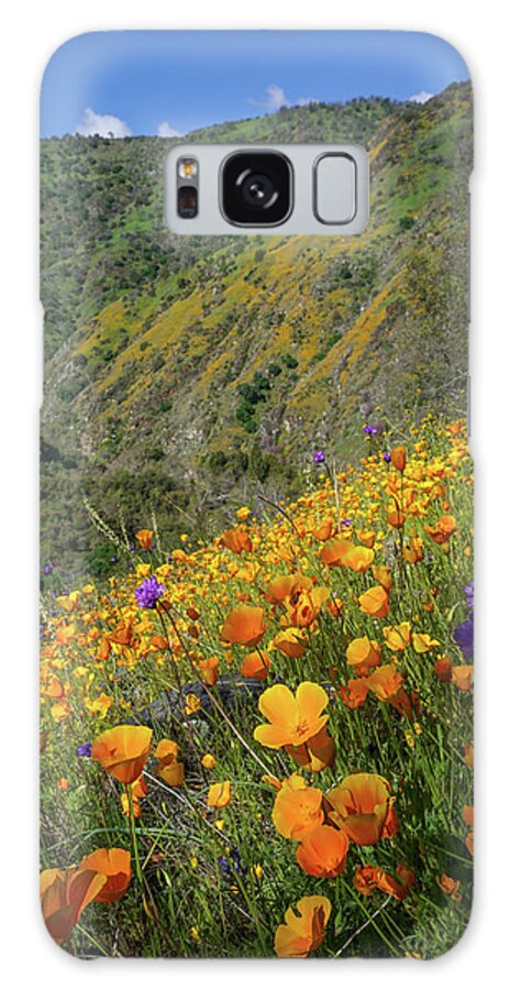 Poppies Galaxy Case featuring the photograph Poppies And Purpleheads by Brett Harvey