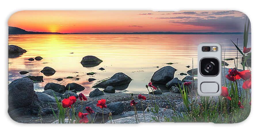 Sea Galaxy Case featuring the photograph Poppies By the Sea by Evgeni Dinev