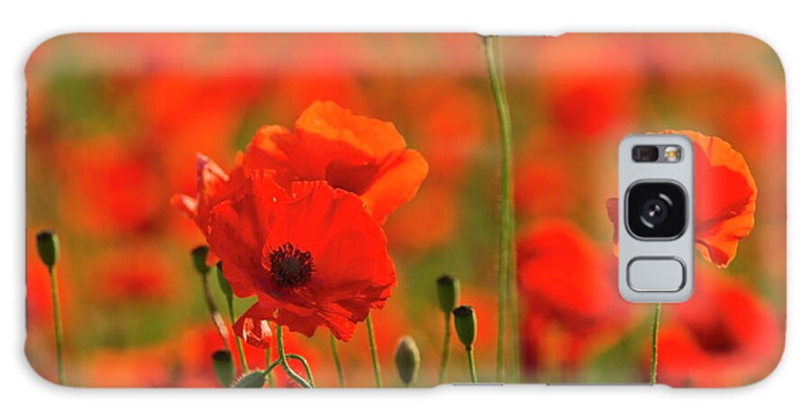 Landscape Galaxy Case featuring the photograph Poppy field 7 by Remigiusz MARCZAK