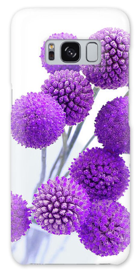 Floral Galaxy Case featuring the photograph Pops of Purple Flower Joy by Renee Spade Photography