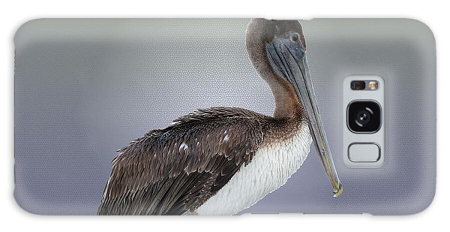Pelicans Galaxy S8 Case featuring the photograph Portrait of Pelican by Mingming Jiang