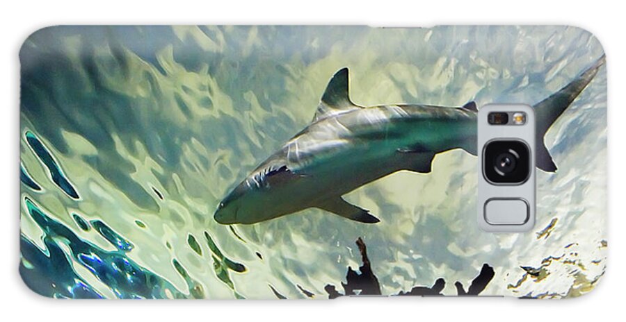 Bull Shark Galaxy Case featuring the photograph Predator of the Sea by Jill Love