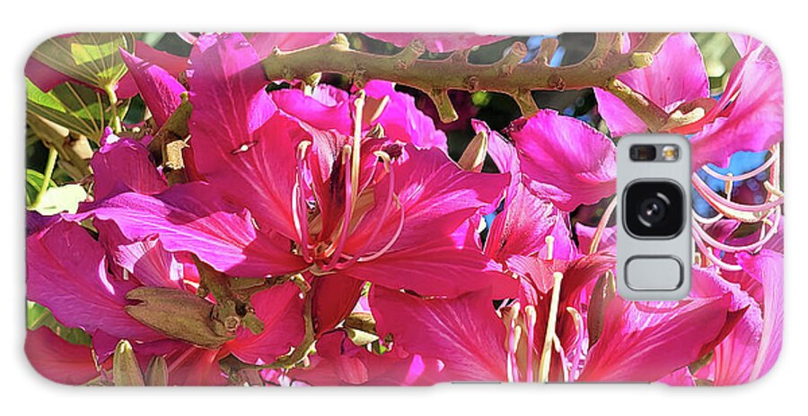 Macro Galaxy Case featuring the photograph Pretty in Pink by Roberta Byram