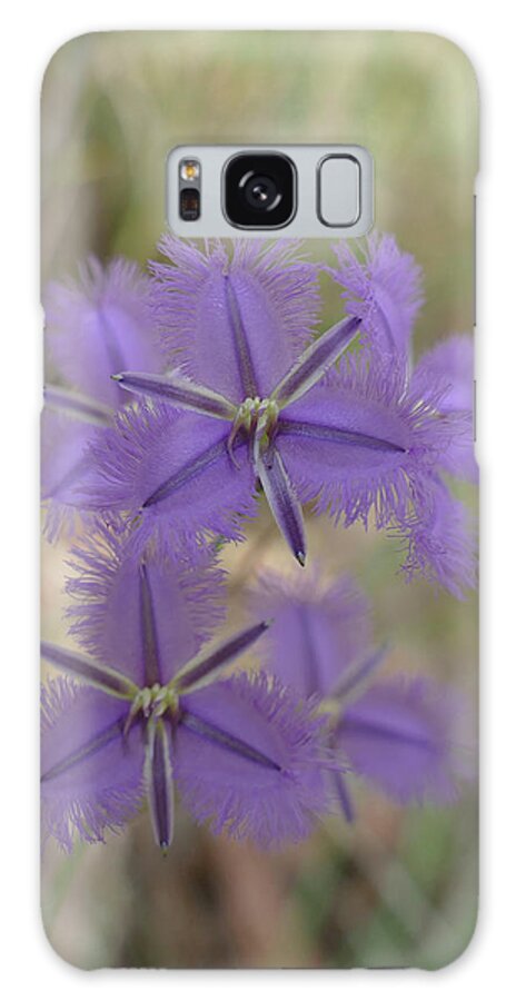 Flowers Galaxy Case featuring the photograph Pretty Purple by Maryse Jansen