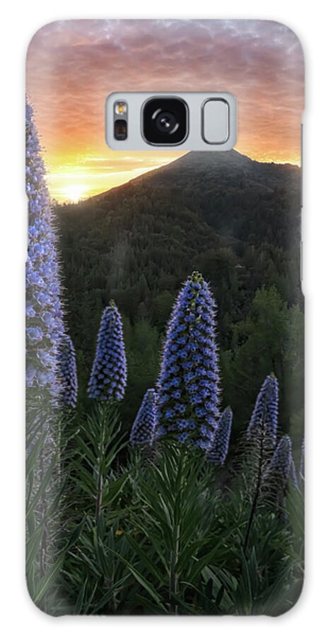 1sky Galaxy Case featuring the photograph Pride of Madiera by Steve Berkley