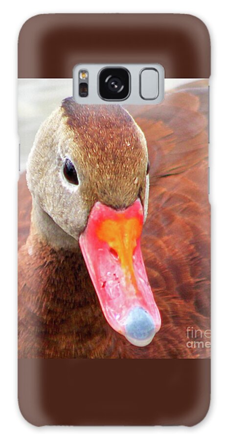 Ducks Galaxy Case featuring the photograph Profile of a Black Bellied Whistling Duck by Joanne Carey