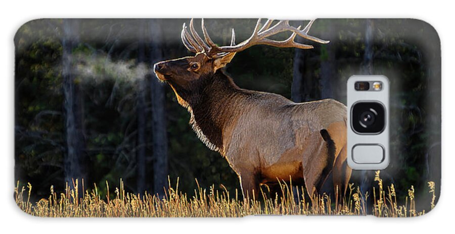 Gary Johnson Galaxy Case featuring the photograph Proud Bull Elk by Gary Johnson
