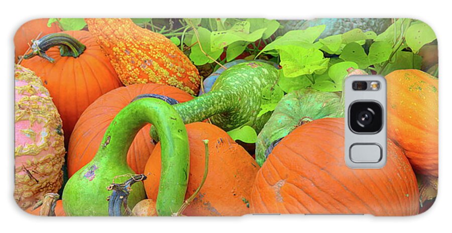 Autumn Galaxy Case featuring the photograph Pumpkin Patch by Diana Mary Sharpton