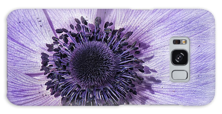 Anemone Galaxy Case featuring the photograph Purple Anemone Flower - Tryon Palace New Bern NC by Bob Decker