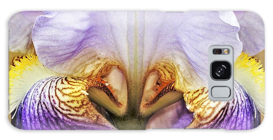 Nature Galaxy Case featuring the photograph Purple Bearded Iris Close-up by Sheila Brown