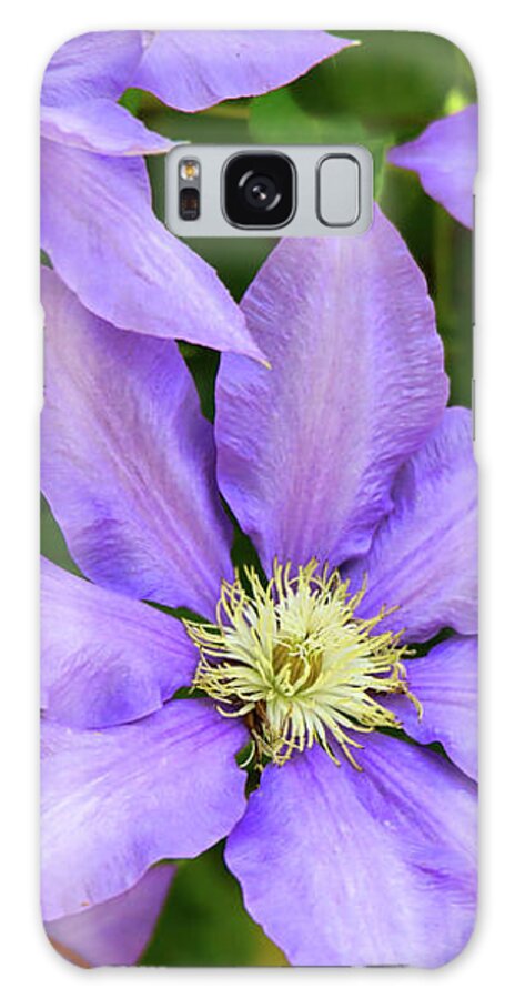 Purple Color Galaxy Case featuring the photograph Purple Clematis by Scott Burd