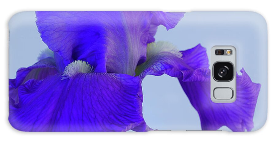 Irises Galaxy Case featuring the photograph Purple Iris Blooms in Spring 3 by Lindsay Thomson
