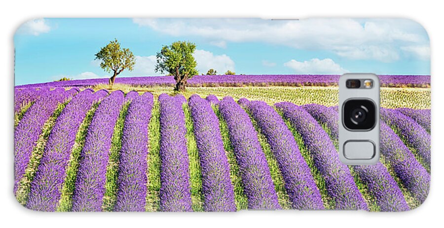 Provence Galaxy Case featuring the photograph Purple Provence by Manjik Pictures