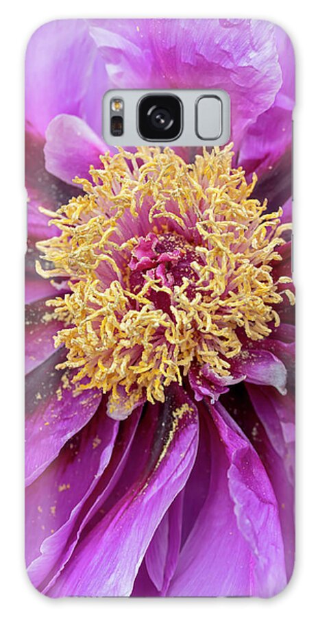 Flower Galaxy Case featuring the photograph Purple Tree Peony by Dawn Cavalieri