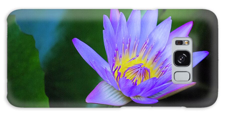 Exotic Flower Galaxy Case featuring the photograph Purple Water Lily by Christi Kraft