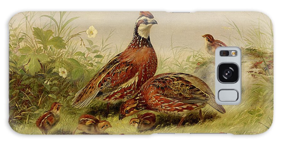 Arthur Fitzwilliam Tait Galaxy Case featuring the painting Quail and Young, 1856 by Arthur Fitzwilliam Tait