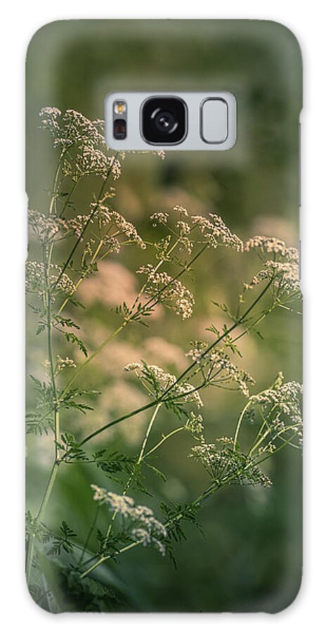 Flower Galaxy Case featuring the photograph Queen Anne's Lace by Allin Sorenson