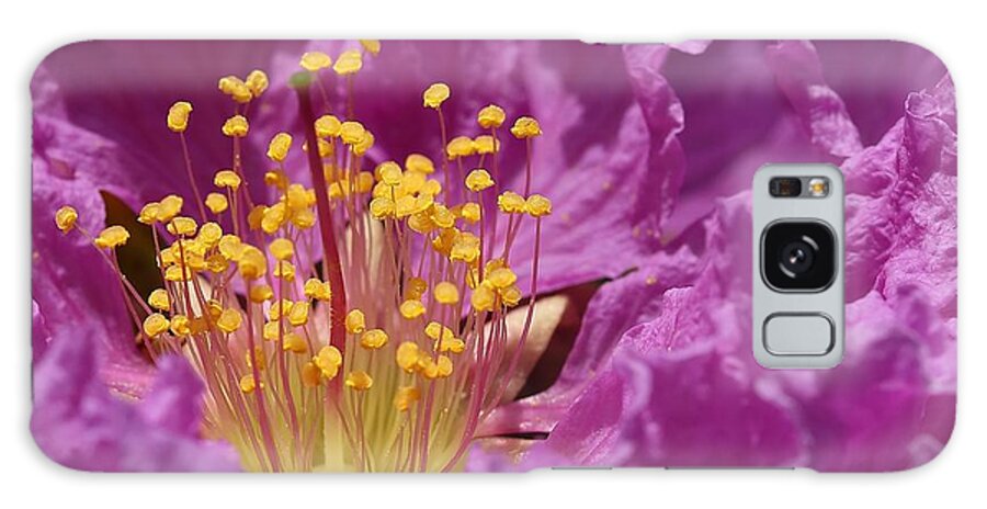 Queen's Crepe Myrtle Galaxy Case featuring the photograph Queen's Crepe Myrtle Flower by Mingming Jiang