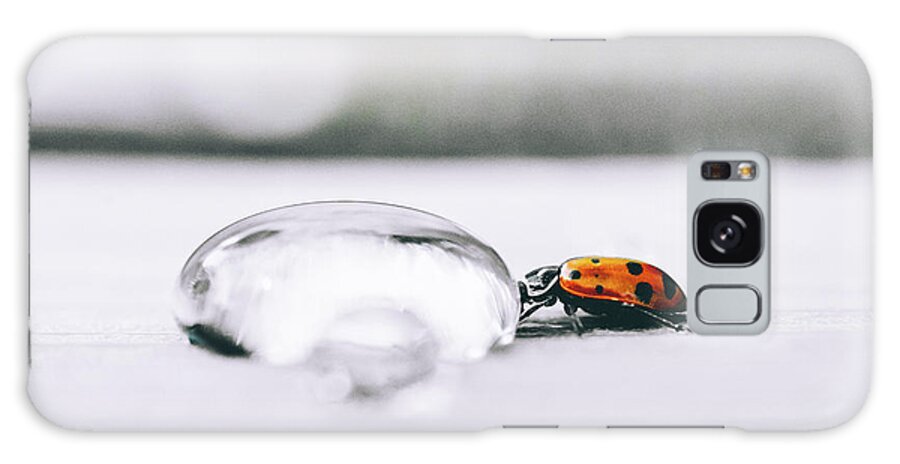Macro Galaxy Case featuring the photograph Quenching His Thirst - Ladybug Photo by Ada Weyland
